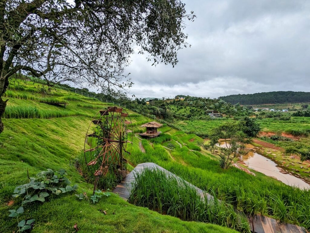 A lush green field with a stream running through it